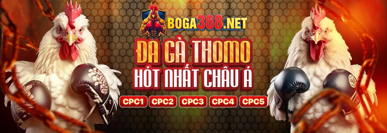Đá gà trực tuyến 997bet code