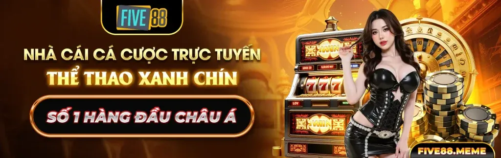Ứng dụng cá cược 997bet code trên điện thoại
